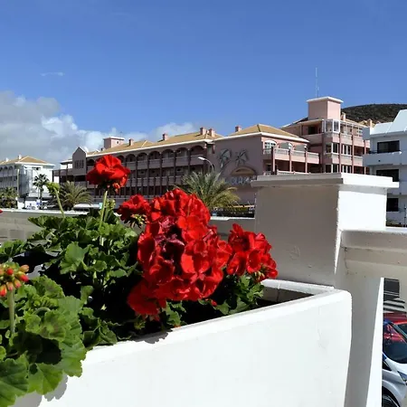 Townhouse El Camison Playa de las Americas (Tenerife)